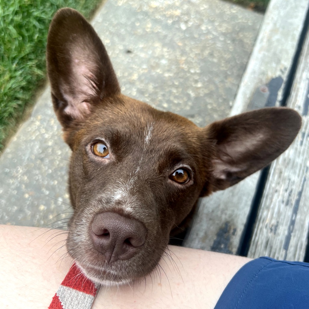 Coco (4)