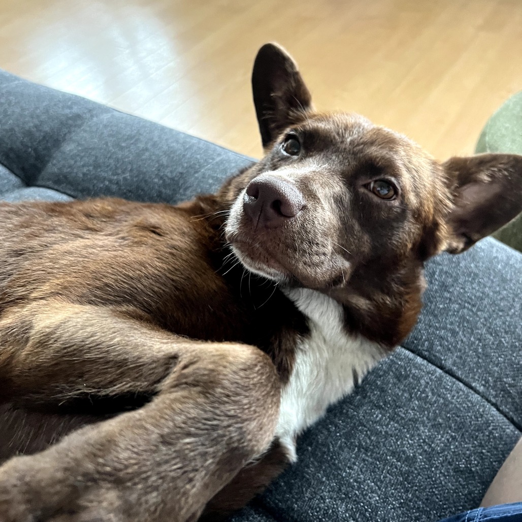 Coco (5)