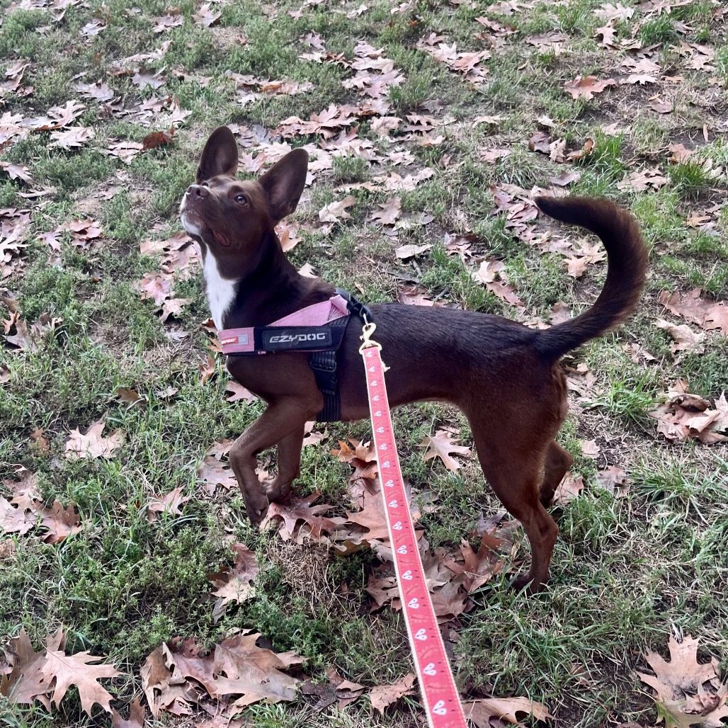 Coco (6)