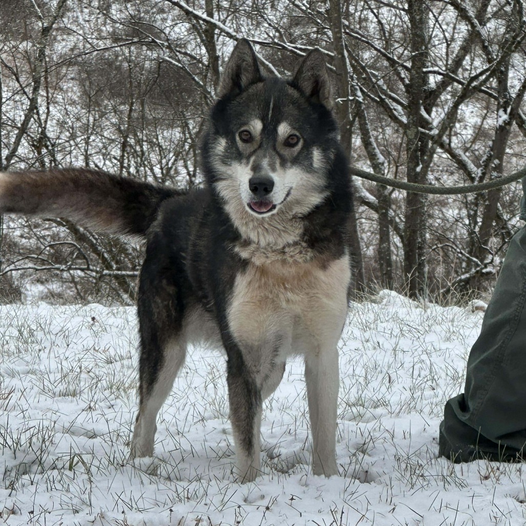 Huron (1)