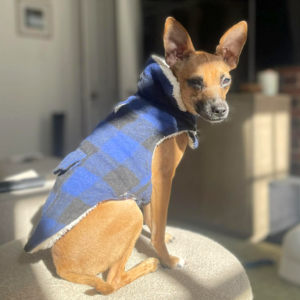 Lil Mama