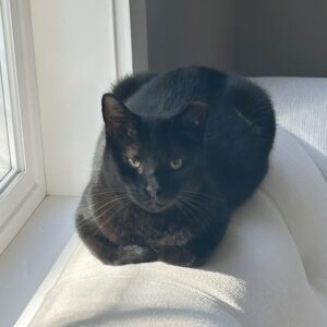 Mama