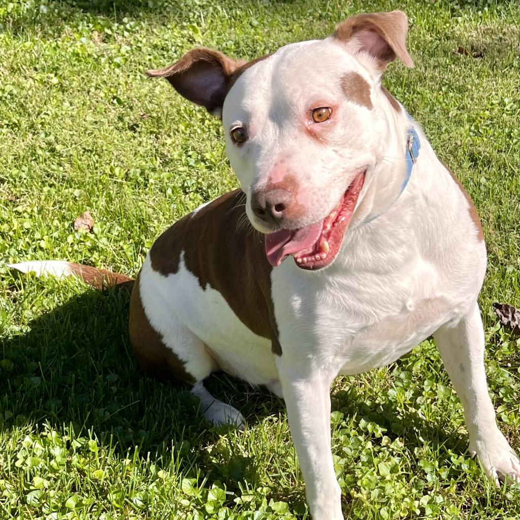 Rocco (8)