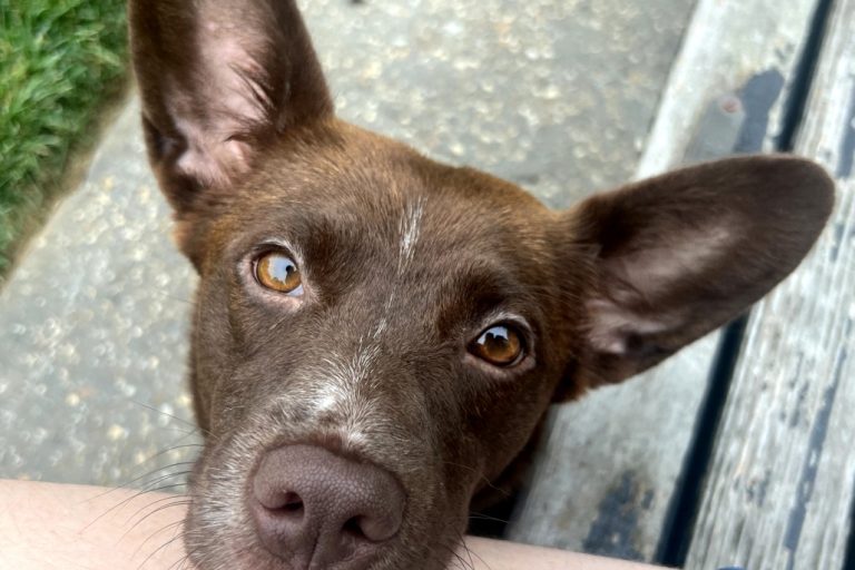 Coco (4)